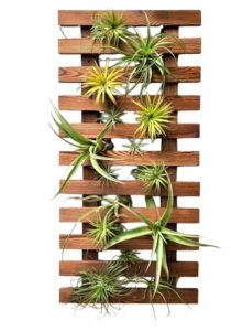 Wooden Vertical Hanging Planter