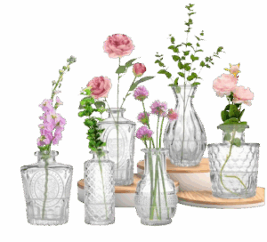 Glass Bud Vases Set