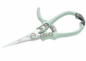 Modern Sprout Pruning Shears
