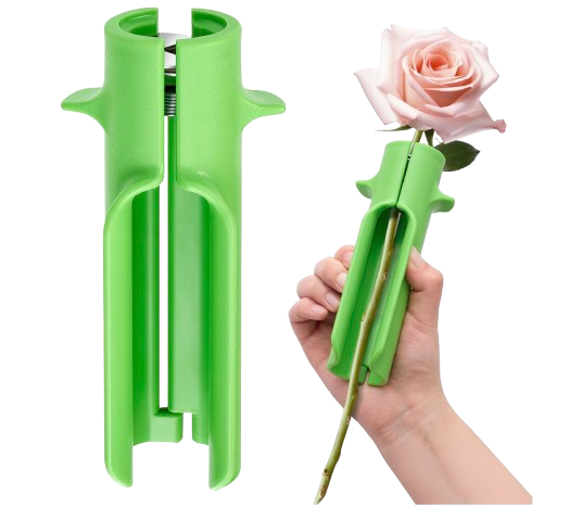Flower Care, Pruning Tools, Fresh Flowers