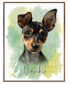 Custom Pet Portrait