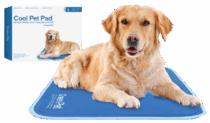 Pressure-Activated Cooling Mat