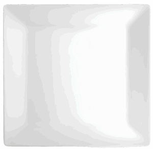 Q Squared Melamine Dinner Plates