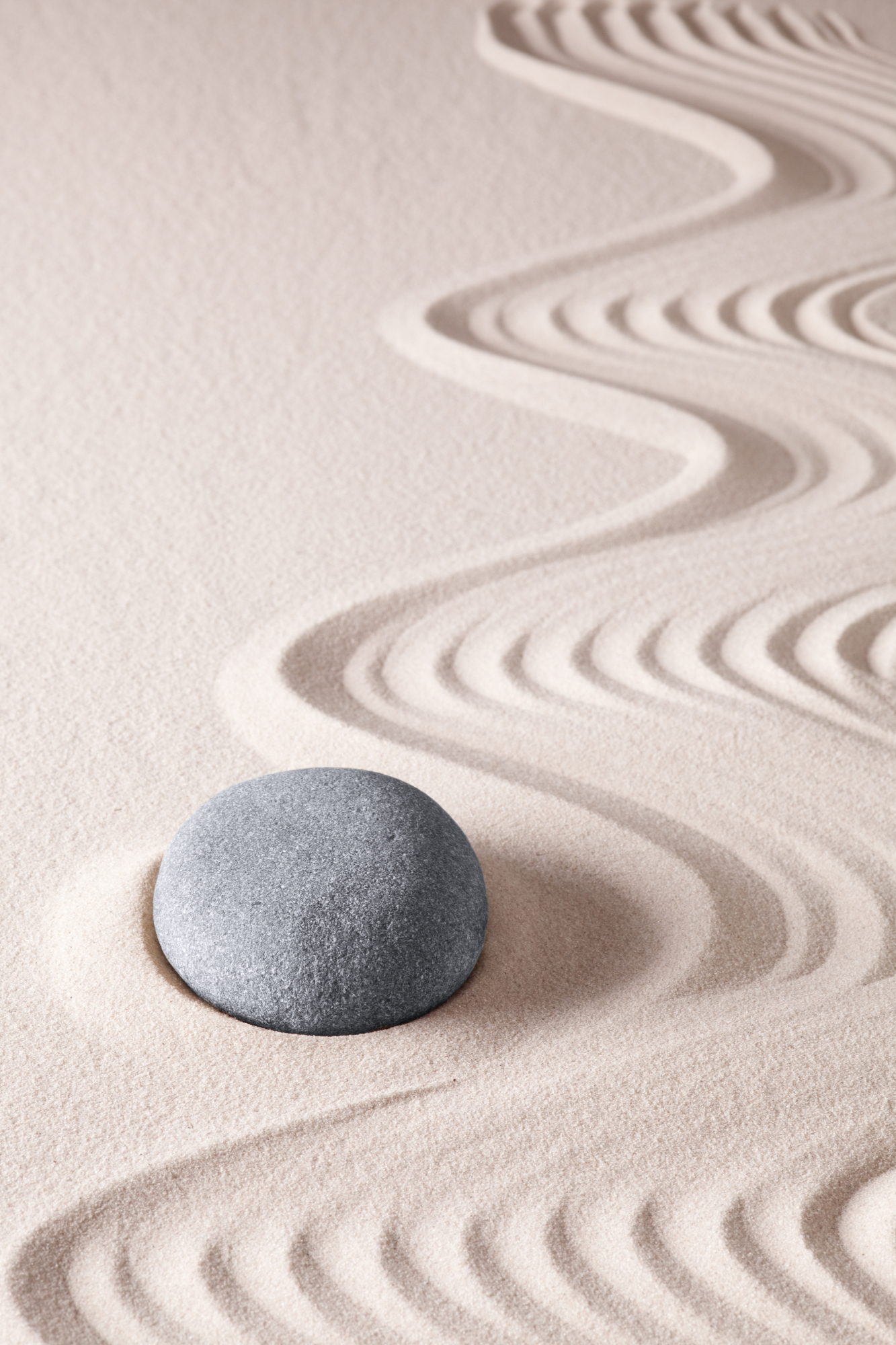 Start Your Morning Calm: 5-Minute Meditation Routines That Actually Work