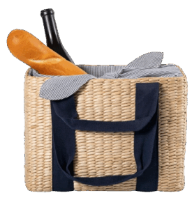 Picnic Time Insulated Tote