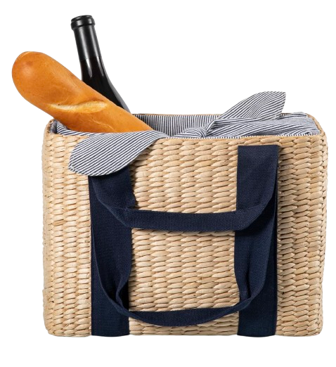 Picnic Time Insulated Tote