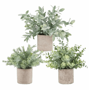 Der Rose Mini Faux Potted Plants (Set of 3)