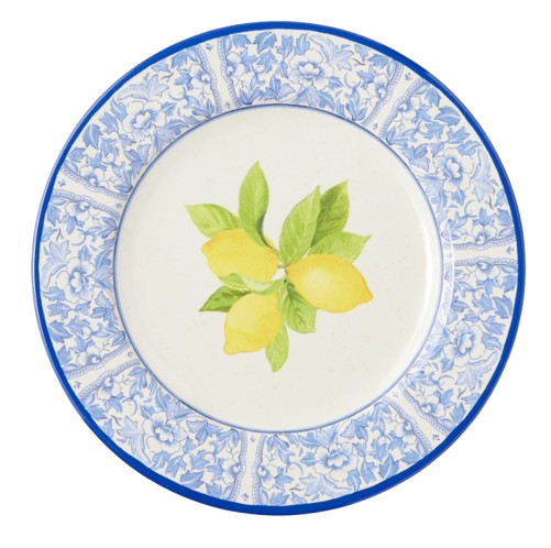 Lemon Outdoor Melamine Dinner Plates
