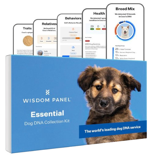 Wisdom Panel Dog DNA Kit
