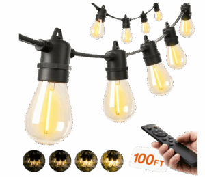 Addlon Outdoor String Lights with Remote