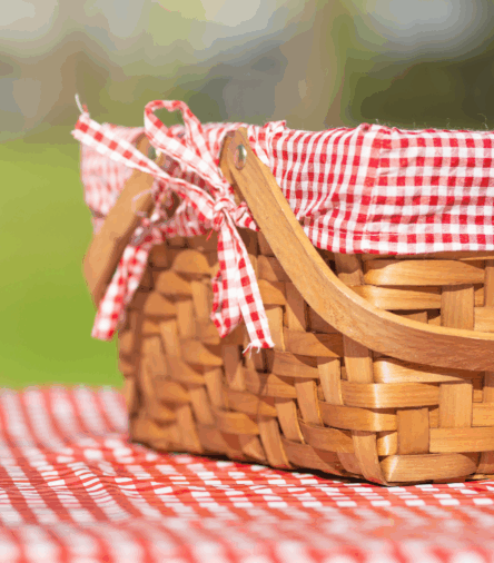 Hosting a Backyard Picnic? These Finds Make It Stylish and Stress-Free