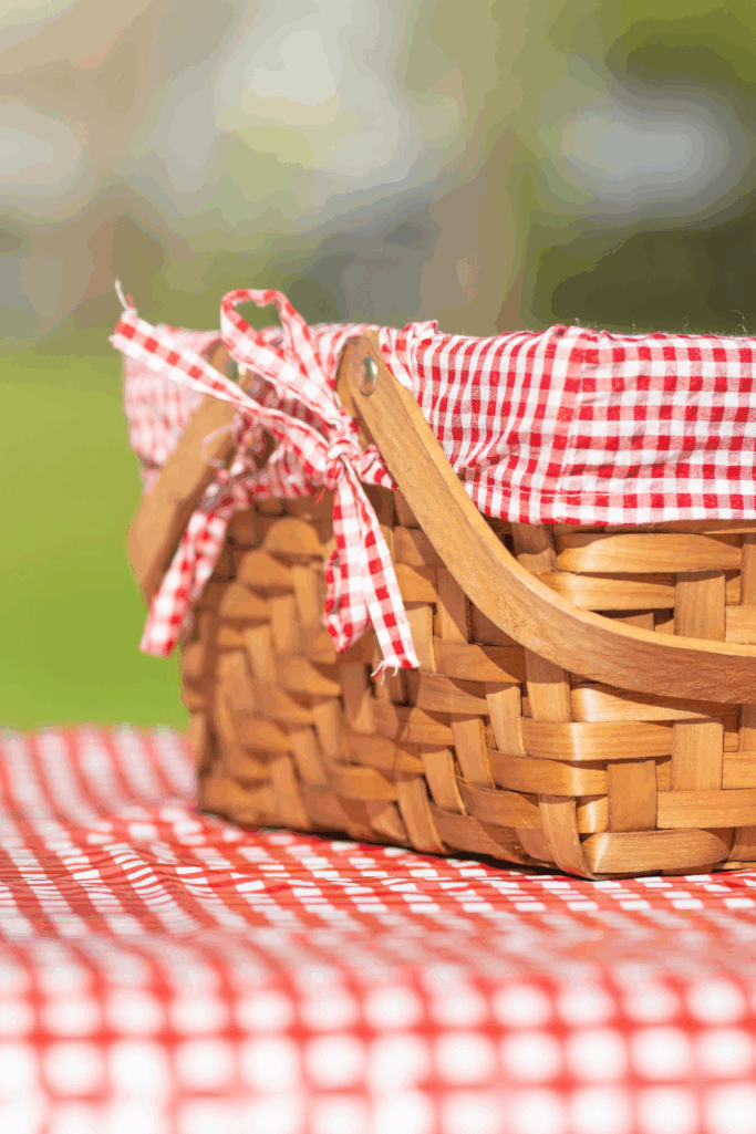 Hosting a Backyard Picnic? These Finds Make It Stylish and Stress-Free