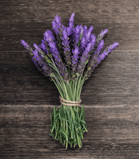 Hostess Gifts That Impress: Easy Picks for Summer Soirées