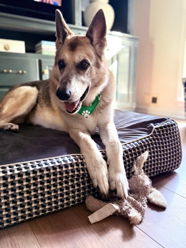 Fridays with Oscar, casual, Weekend, Holiday style