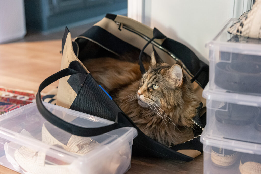 Fridays with Oscar, casual, Weekend, Holiday style
