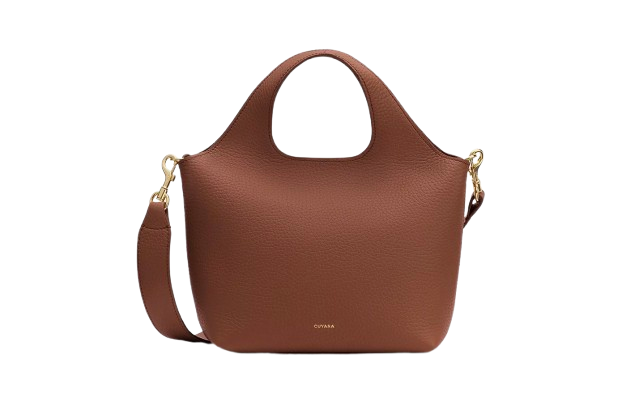 The Convertible Crossbody-to-Mini