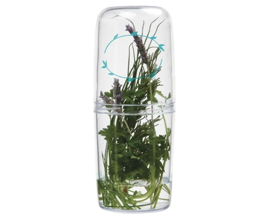 Clear Herb Keeper for Freshness