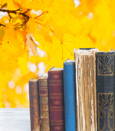 Your Cozy Fall Reading List: Books to Curl Up With This Season