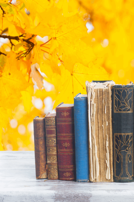 The Best Picks for Your Cozy Fall Reading List