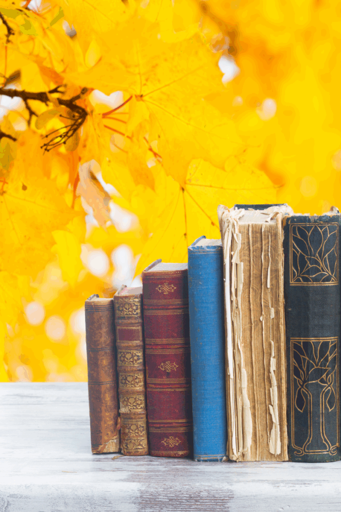 Your Cozy Fall Reading List: Books to Curl Up With This Season