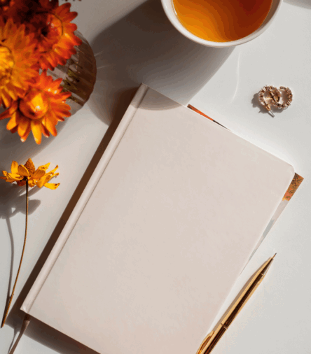 The Best Fall Journals and Planners to Reset Your Routine in Style