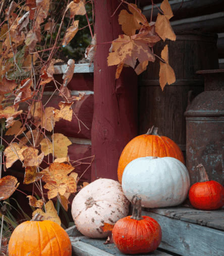 Front Porch Glow-Up: Chic Fall Doormats & Porch Décor You’ll Love