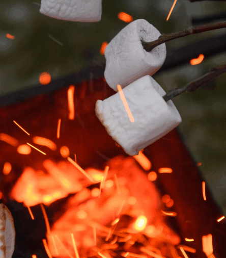 The Secret to Hosting a Chic and Cozy Backyard Bonfire This Fall