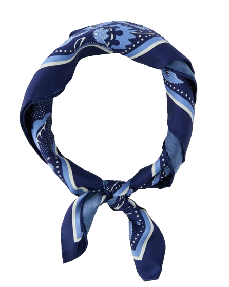J.Mclaughlin Blue Print Scarf
