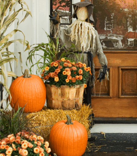 The Chic Amazon Halloween Finds That’ll Save Your Party (and Your Sanity 🎃)