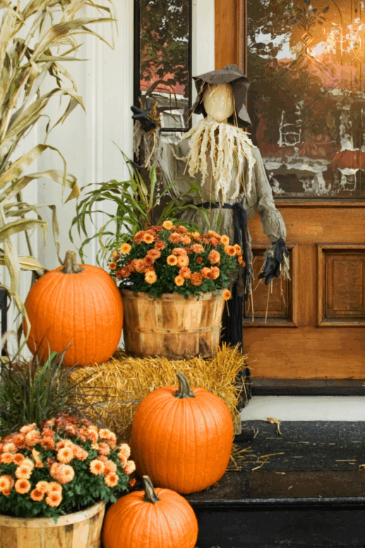 Amazon Halloween Finds for Last-Minute Decorating