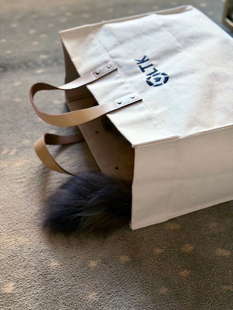 Maine Coon cat tail sticking out of a tote bag.