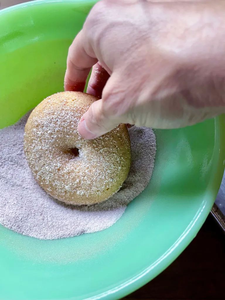 Dredge the Baked Apple Cider Donuts