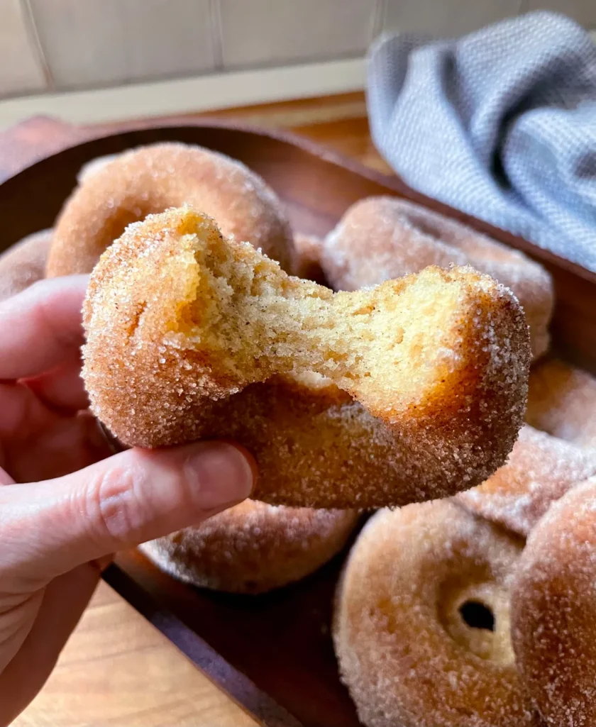 Baked Apple Cider Donuts