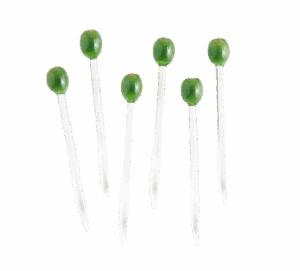 Olive Icon Glass Martini Picks (Set of 6)