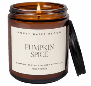 Sweet Water Decor Pumpkin Spice Candle