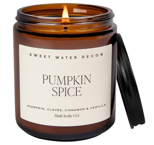Sweet Water Decor Pumpkin Spice Candle
