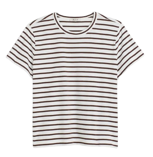 Madewell Allday Jersey Tee – Brown Stripe