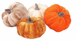Velvet Pumpkin Decor Set