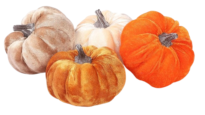 Velvet Pumpkin Decor Set