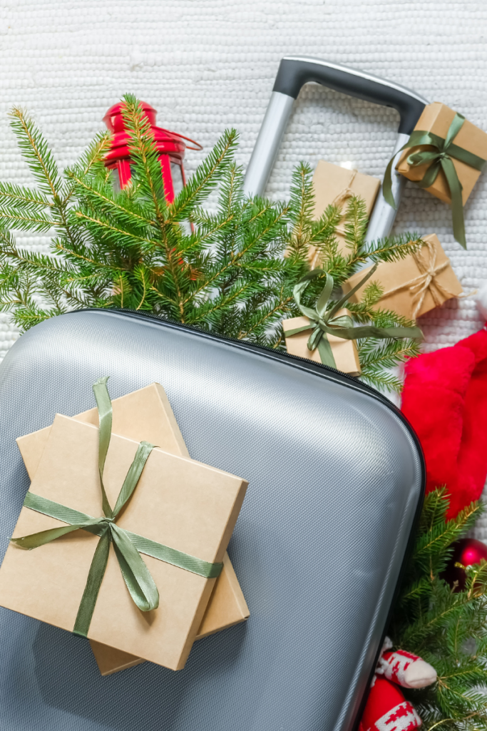 The Holiday Travel Edit: Quince Essentials That Make Every Trip Smoother ✈️