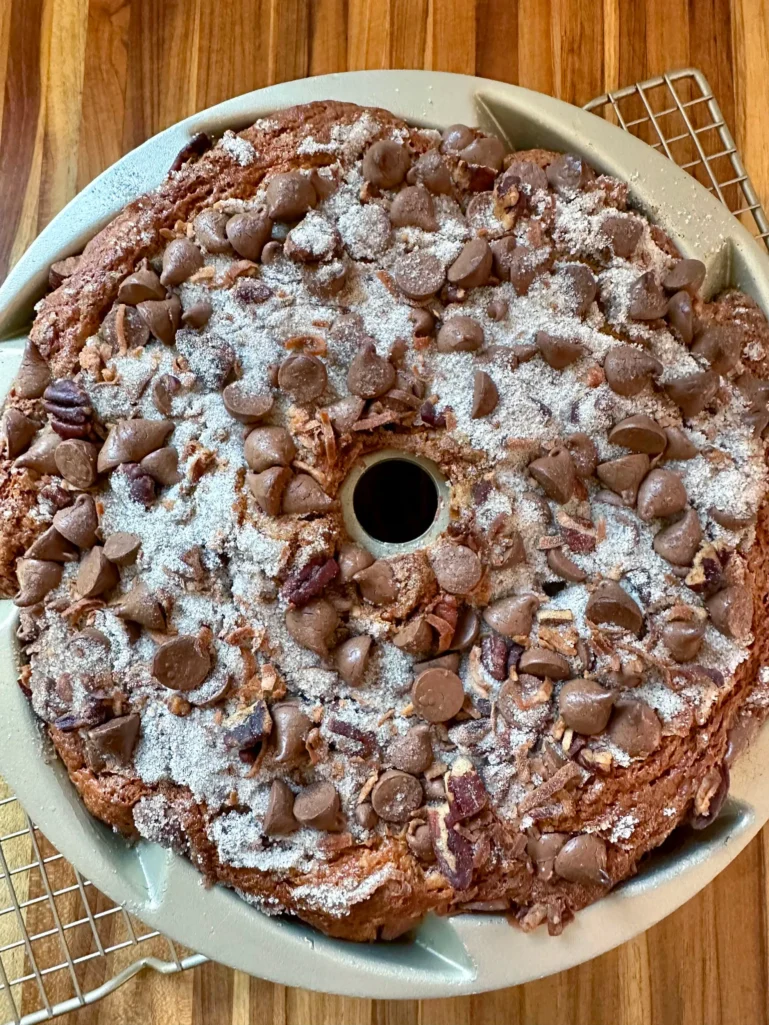 Freshly baked chocolate cinnamon coffee cake with golden streusel topping dusted with powdered sugar