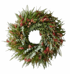 Rejuvenation Live Grevillea & Baby Blue Eucalyptus Wreath