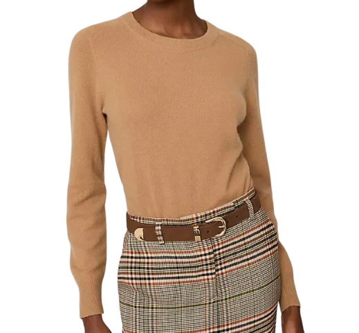 Ann Taylor Cashmere Crewneck Sweater