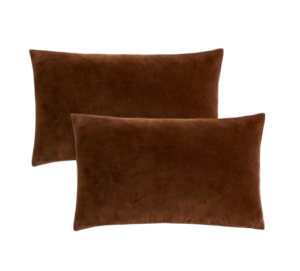 Velvet Throw Pillow Covers Set of 2