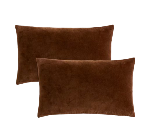 Velvet Throw Pillow Covers Set of 2