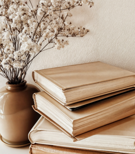 My Current Entertainment Picks: What I’m Watching and Reading 📚🎬