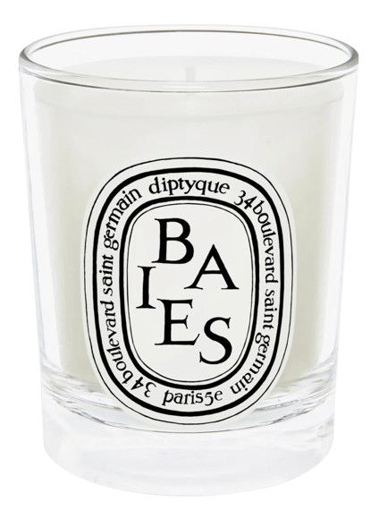 Diptyque Baies Candle