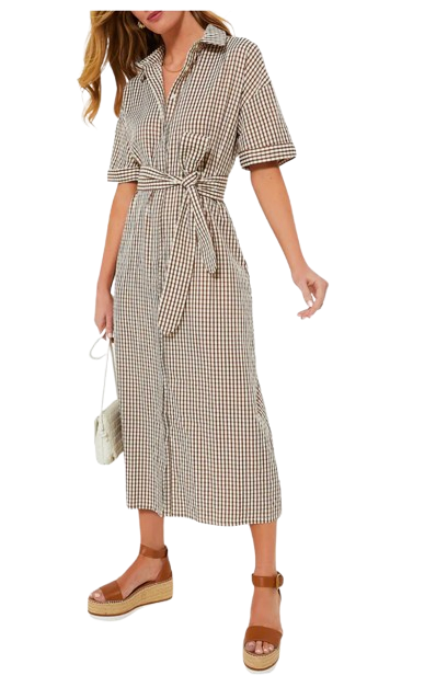 Brown Gingham Seersucker Dress