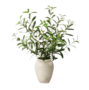 Threshold Large Olive Leaf Arrangement
