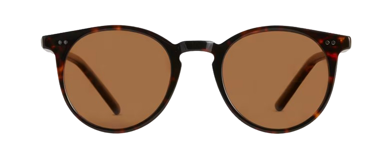 Noah Polarized Acetate Sunglasses